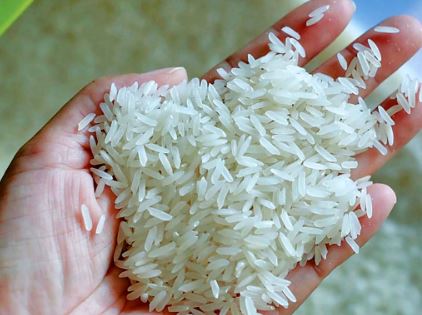 یکی دیگر از وعده های رئیسی زیر سوال رفت!