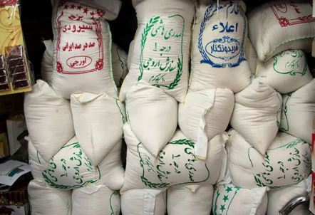 برنج ایرانی در ورطه نابودی / نامه فوری دبیر انجمن تولیدکنندگان و تامین کنندگان برنج ایران خطاب به پزشکیان