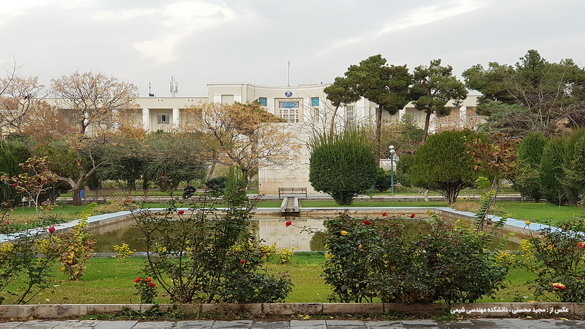 پشت پرده ساخت و ساز شبانه در دانشگاه تهران / تخریب فضای سبز اینبار به بهانه نماز جمعه!