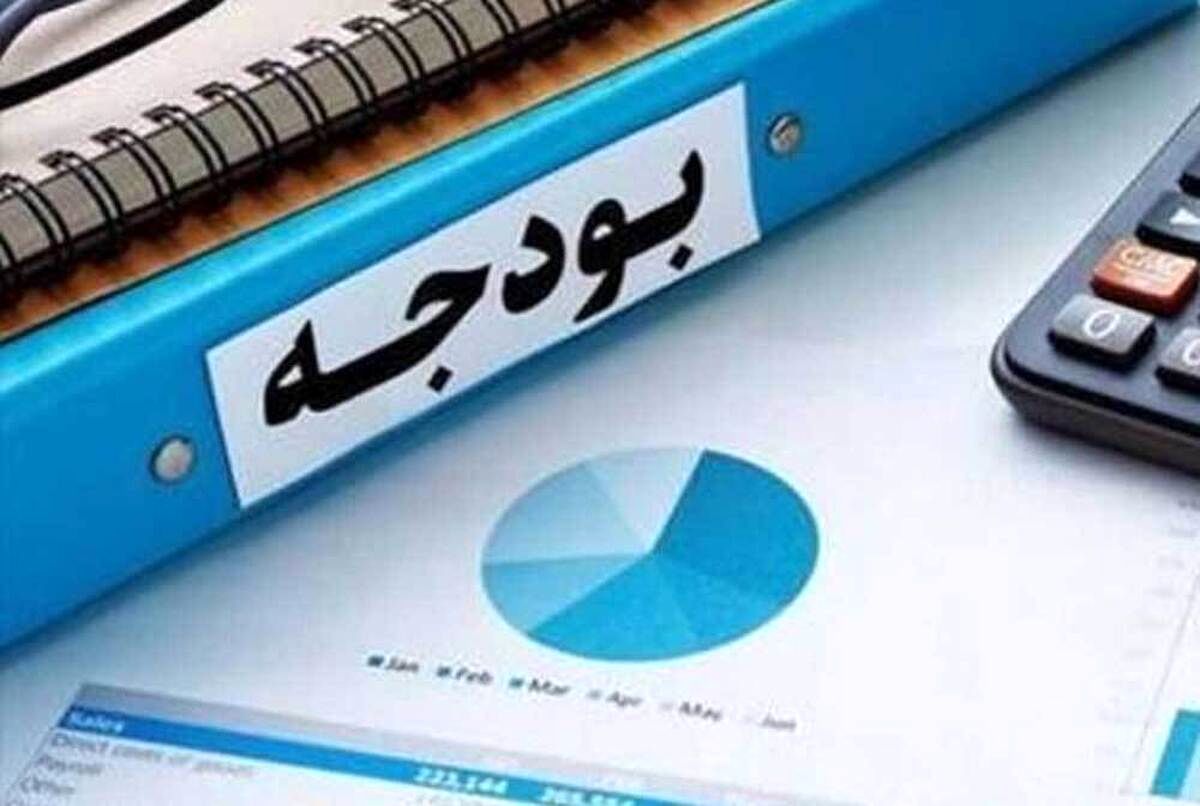 بودجه ۱۴۰۵ در منگنه ناترازی‌ها / هاشمی: بودجه به تنهایی یک درمان نیست