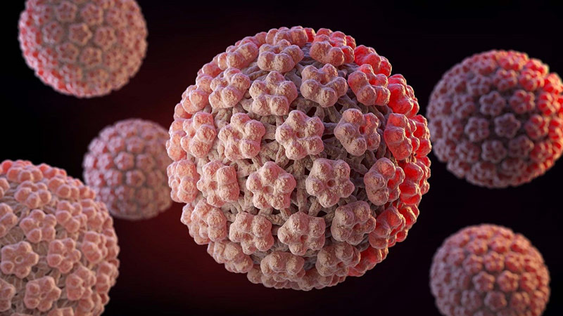 زنگ خطر شیوع HPV در کشور به صدا درآمد / آمار وحشتناک از شیوع ویروس زگیل تناسلی در پایتخت/ واکسن HPV؛ ایرانی بزنیم یا خارجی؟