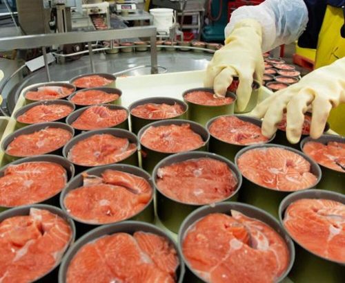 قیمت کنسرو ماهی تن از قیمت مرغ جلو می زند! / فشارهای ارزی صدای تولیدکنندگان کنسرو ماهی تن را درآورد