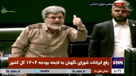عربده کشی کوچک زاده در صحن مجلس! + فیلم