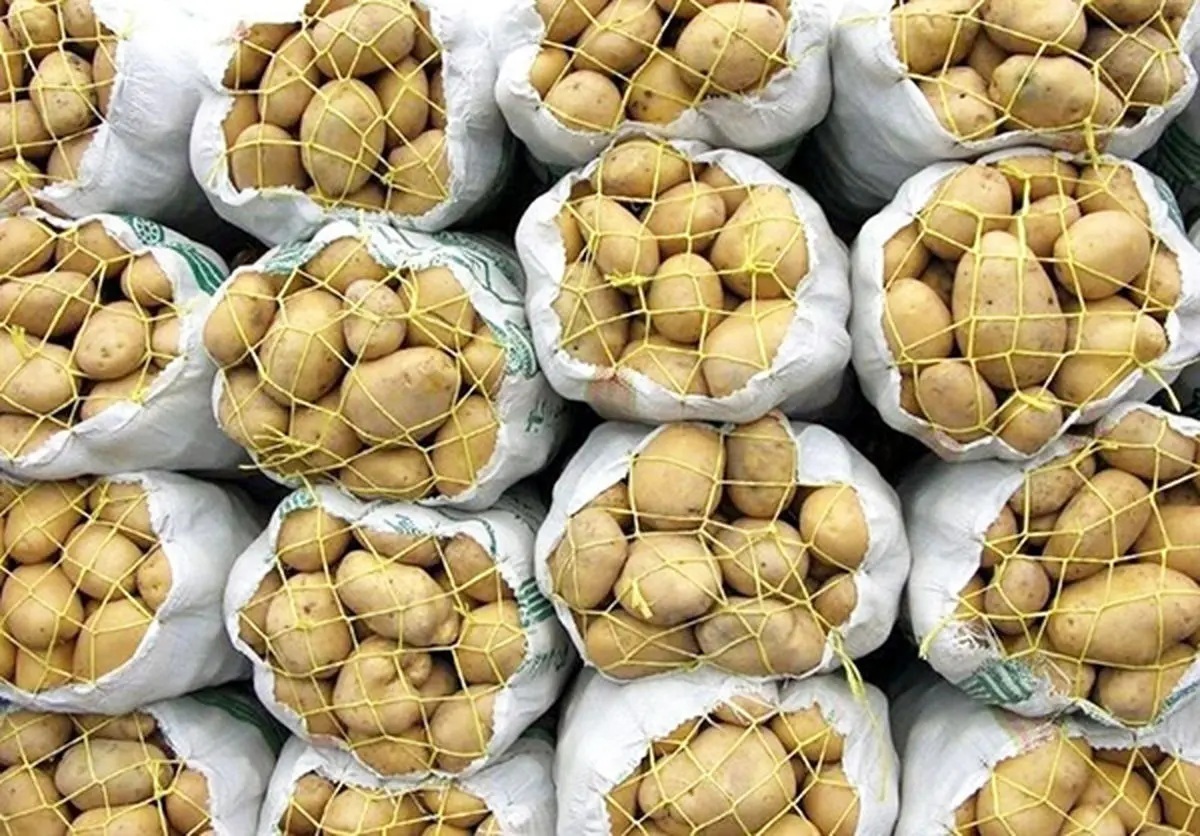 سیب زمینی‌های وارداتی محصول ایران هستند اما در انبار کشورهای ثالث!