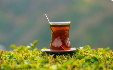 در بازار چای چه خبر است؟ / نارضایتی چای‌کاران داخلی از نرخ خرید تضمینی چای