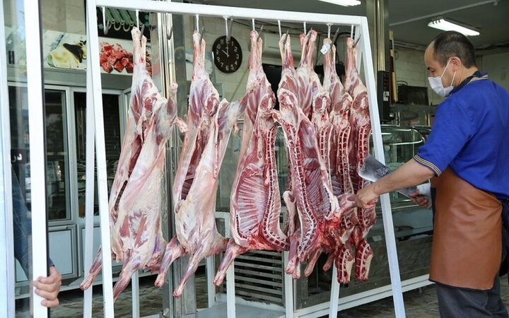 خطر در کمین تامین گوشت قرمز / واردات دام زنده از افغانستان به ایران