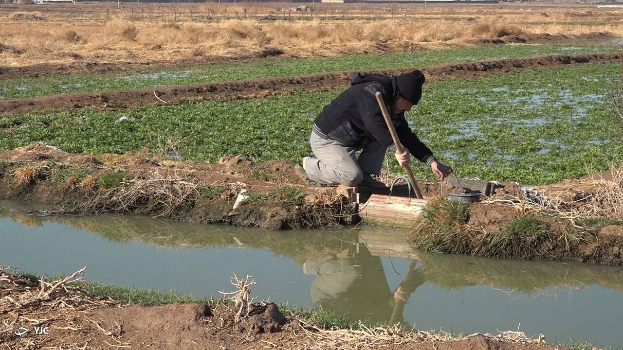 نقش پررنگ کشاورزی سنتی  در بحران آب / عباسپور: مشکل آب فقط بارش نیست، مدیریت است!