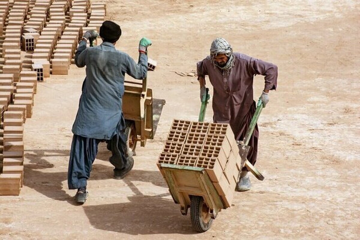 آمار عجیب از حضور اتباع افغان در بازار کار ایران / حسینی: این آمار در سطح جهانی نادر است
