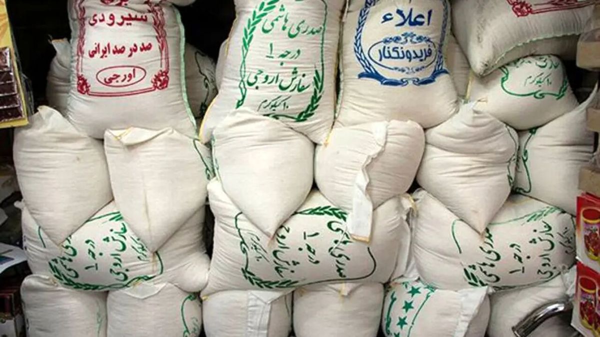 بازار برنج کی به آرامش می‌رسد؟