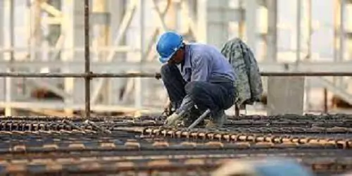 وزیر کار، تعیین دستمزد کارگران را گردن نگرفت