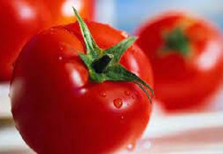 بالاخره گوجه فرنگی ارزان شد