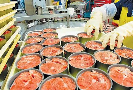 رکود نیمی از کارخانه های تولید كنسرو ماهي