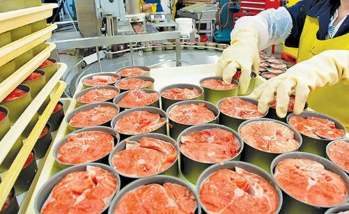 رکود نیمی از کارخانه های تولید كنسرو ماهي