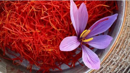زعفران ایران در چنگ دلالان با پول‌های کثیف!