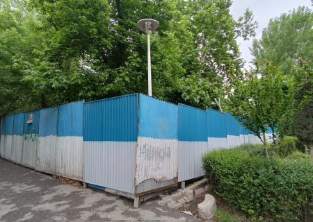 درخت کُشی به بهانه ساخت مسجد!