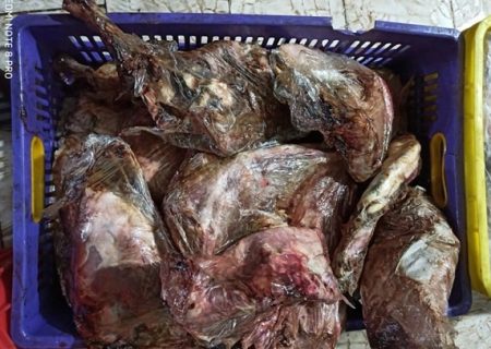 واردات گوشت های فاسد از مغولستان برای مردم ایران! / چه کسی پاسخگوی خسارت 21 میلیاردی گوشت های متعفن است؟