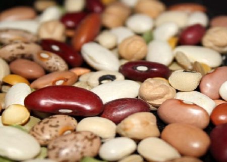 پشت پرده 5 هزار تن حبوبات فاسد در گمرک ایران!