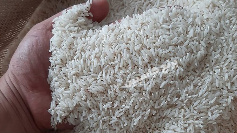 آشفته بازار برنج! / رسوب برنج‌های وارداتی در گمرک