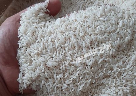 روستایی ها بیشتر برنج وارداتی مصرف می کنند یا شهری ها؟