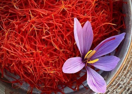 قاچاق زعفران ایران به اسم زعفران اسپانیا! / ردپای دلالان در سواستفاده از نام و اعتبار زعفران ایران