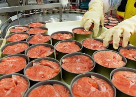 قیمت کنسرو ماهی تن از قیمت مرغ جلو می زند! / فشارهای ارزی صدای تولیدکنندگان کنسرو ماهی تن را درآورد