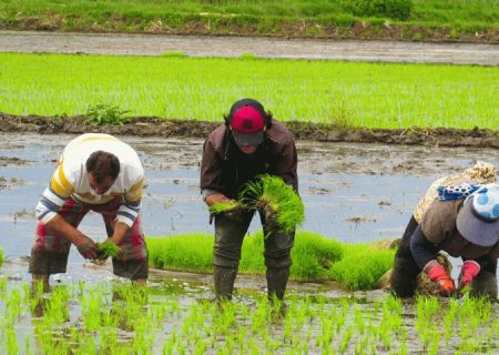 روایاتی از زندگی کارگری در سایه رنج و امید / داستان مرگ ارزان و زندگی گران در خط تولید سود!