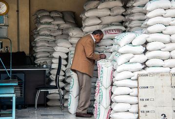 آمار اشتباهی کار دست بازار برنج داد! / آقاجانیان: ۹۵ درصد برنج بازار توسط واسطه‌گران بی‌هویت بسته‌بندی می‌شود