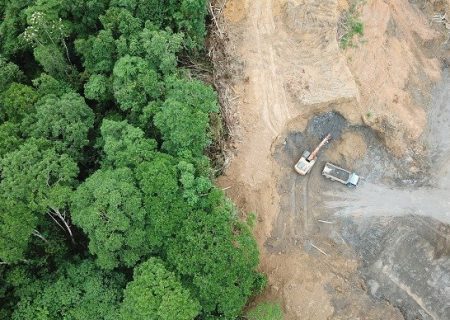 تاراج جنگل‌های مازندران؛ افشای زمین‌خواری ۳ هزار و ۶۰۰ میلیارد ریالی در چالوس