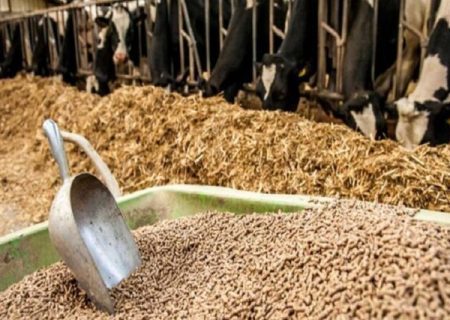 خالی فروشی در سامانه بازارگاه! / چرا ذخایر استراتژیک کشور تهی شده، چه کسی پاسخگوی این وضعیت است؟