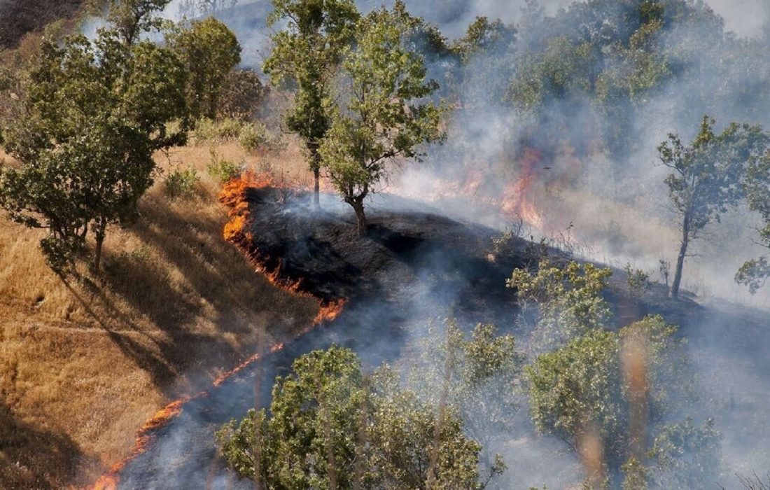 آخرین خبر از آتش‌سوزی‌ در جنگل‌های چالوس؛ بخشی از آتش با حضور ۵۲۰ نیروی امدادی فعلا مهار شده است