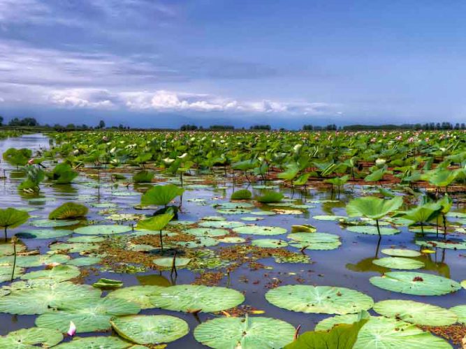 محیط زیست، قربانی بودجه و بی‌تدبیری