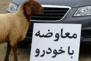 گوسفند؛ شاخص جدید برای قیمت خودرو!!